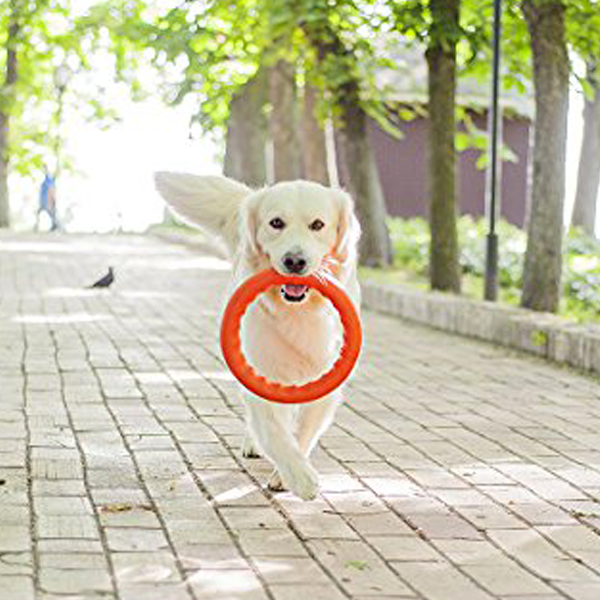 PitchDog tréninkový Kruh pro psy oranžový 20cm