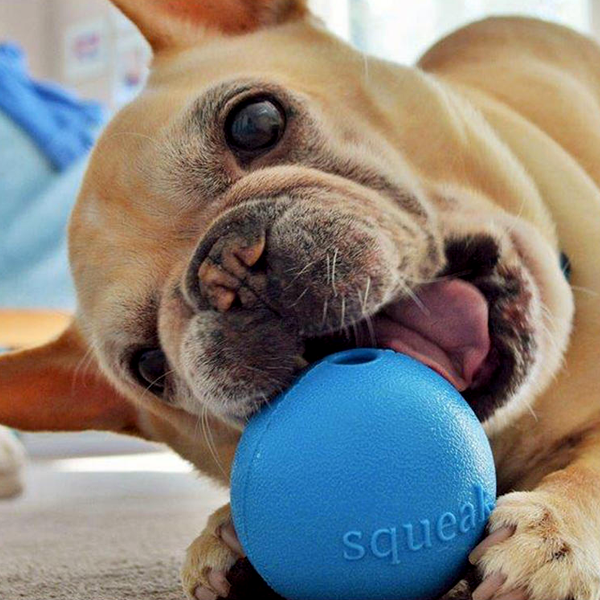 Orbee-Tuff® Ball Squeak pískací 8cm