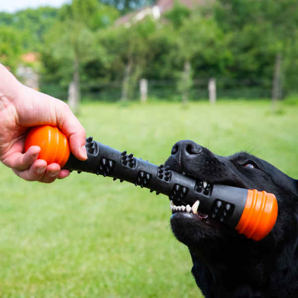 Dog Comets Meteor aportovací tyč oranžová